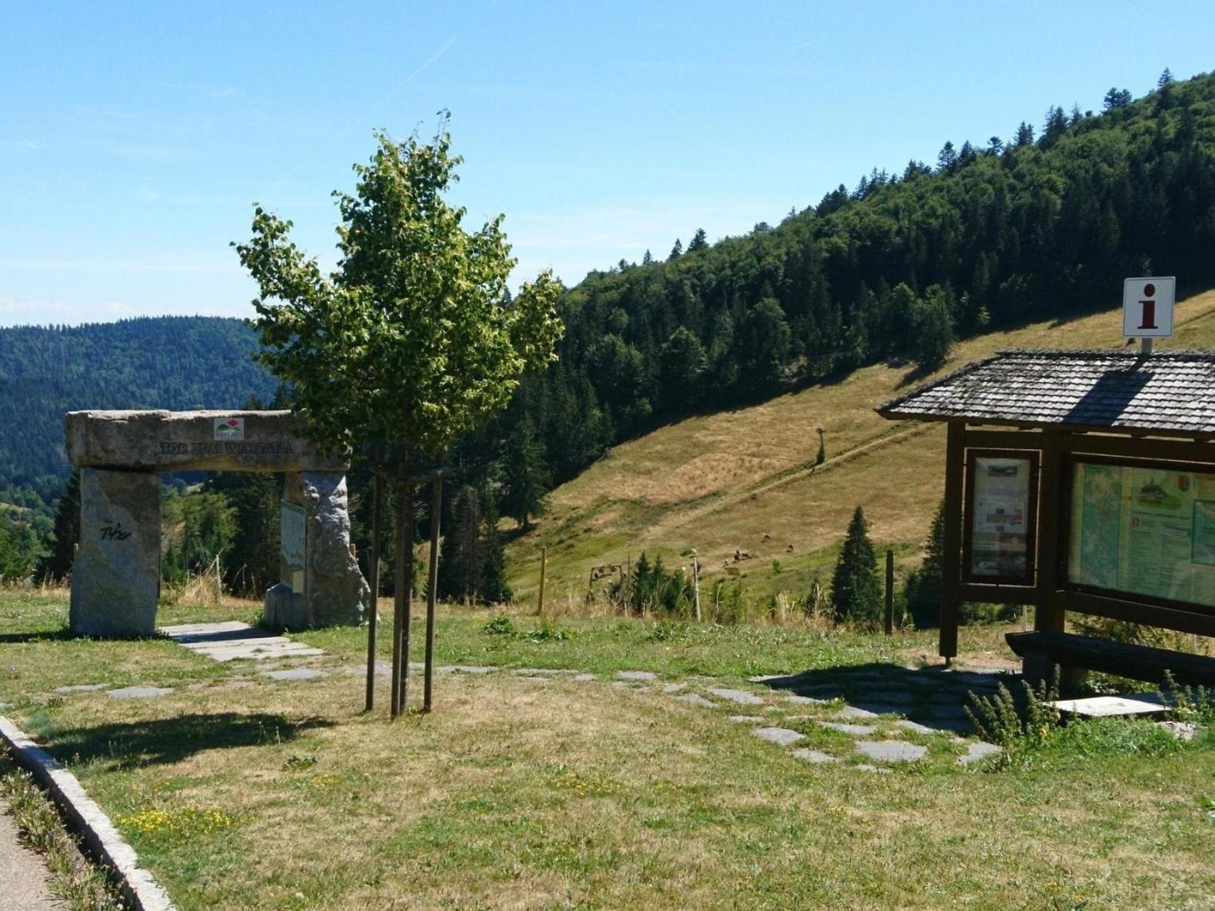 Studio 35 Qm Тодтмос Экстерьер фото
